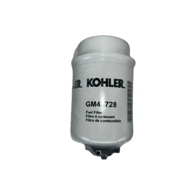 GM48728 Filtre gazole Secondaire Kohler
