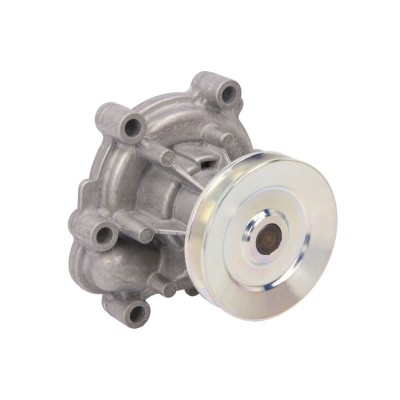 04300291: Coolant pump Deutz